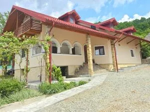 Casa Hera - Sălătrucelu