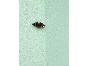 Mellumplate 4 Comfortable holiday residence