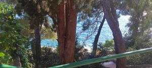 Apartmani Fantasie Trogir