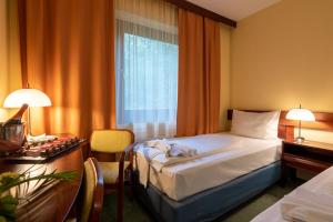 Standard Twin Room room in Hotel Lövér Sopron
