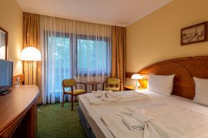 Superior Twin Room room in Hotel Lövér Sopron