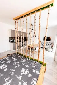 Apartmán v centru Železné Rudy se zahrádkou - Špičák