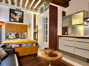 Studio design near Notre Dame