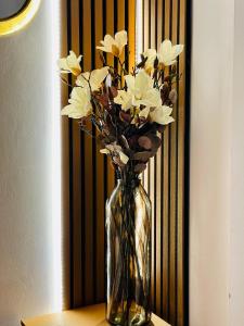 Studio design near Notre Dame