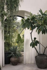 Vila Gila Canggu, Bali