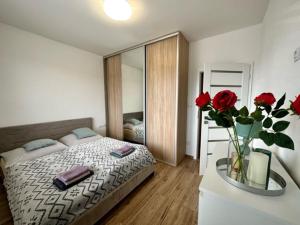 Tower Apartments Centrum