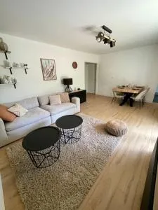 Appartement Cosy Montigny le Bretonneux - 圣朗贝尔