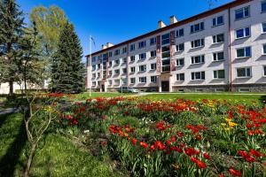 Kreutzwaldi 17 apartment