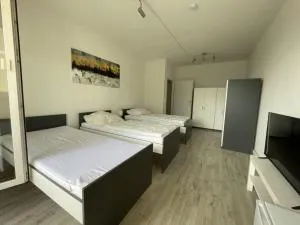 Am Ring Monteurzimmer Apartment Böhlen - Böhlen