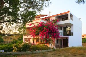 Stroubis Studios I Chios-Island Greece