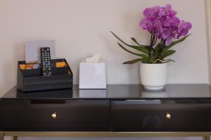 Zaccardi Roof Garden