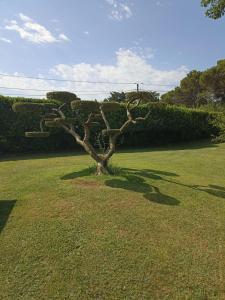 Maisons de vacances Villa Arsali - views on the Luberon : photos des chambres
