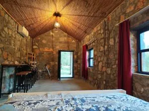 Togo iztuzu Stonehouse-5 - Karadonlar