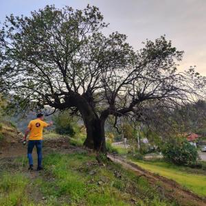Togo iztuzu Stonehouse-5