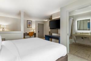 King Suite - Accessible/Non-Smoking room in Comfort Inn & Suites FM1960-Champions