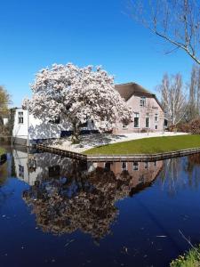 Riante Boerderij in Het Groene Hart Regio Utrecht