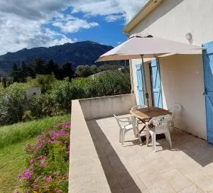 PARADISU - 皮内托