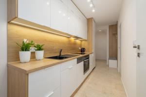 Kalwaryjska 34 street Studio with balcony