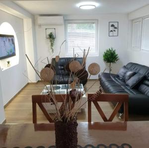 Apartman Djukic Sokobanja 1