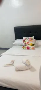 Min Hao&Xin Transient - Ampid