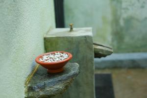 Charming dark lodge in river