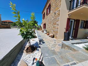 Lucys luxury I