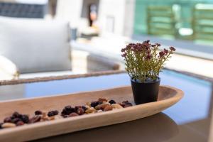 Luxury Apartman Private Garden, Terrace, Huge Jacuzzi Retreat