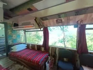 Autobuzul din padure - Cugir