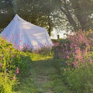 Foxglove Field Glamping - Perranuthnoe