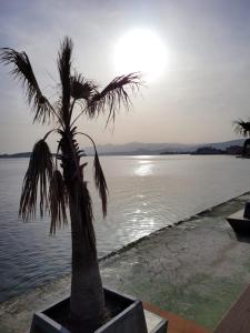 Terrace Urla