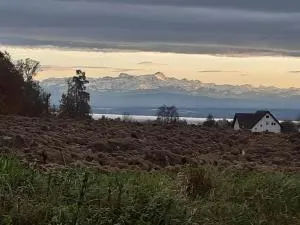 Ferienzentrum Bodensee - Oberteuringen