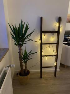 Wellness-Ferienwohnung Meeresrauschen