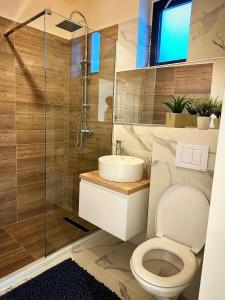 Grey Apartament no 2