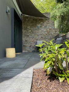 Apartament pod Wielką Sową z Sauną Infrared