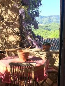 Quaint 500 yr old Stone House w/ Fabulous Views - Sumène