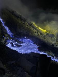 Ijen Transito 2 homestay