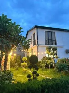 LARDA TBILISI - 鲁斯塔维