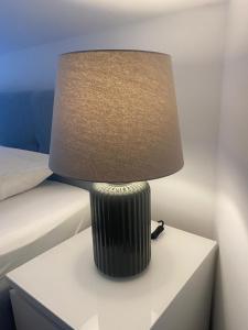 Penthouse Villa Spomenka top floor apartment on central beach