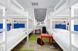 Bed in 8-Bed Male Dormitory Room room in Maxi House Hostel
