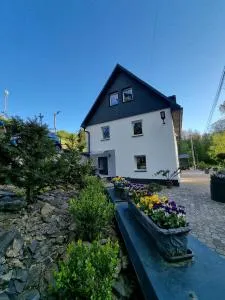 Apartamenty Salamandra - Gołoqłowy