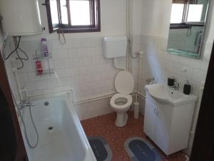 Apartman Aleksić Kuršumlija