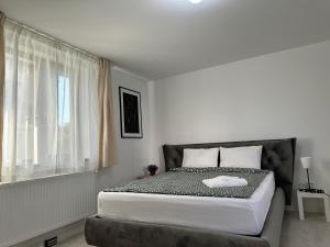 AMADEUS IASI