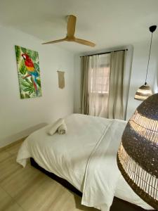 Loft Santa Catalina Park II