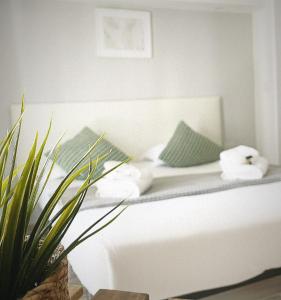 Calmaria Guesthouse