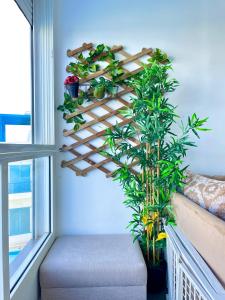 Appartement prestigieux à Smir Park Mdiq