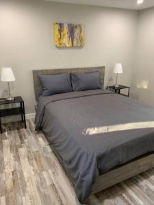ENTIRE 2 BEDROOM APARTMENT DOWNTOWN - u5