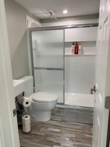ENTIRE 1 BEDROOM APARTMENT DOWNTOWN - u5