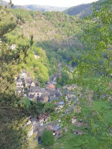 Hotels AUX GORGES DU DOURDOU : photos des chambres