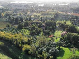Casale della Spinosa