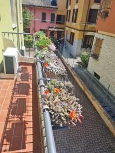 Easy House appartamento centro